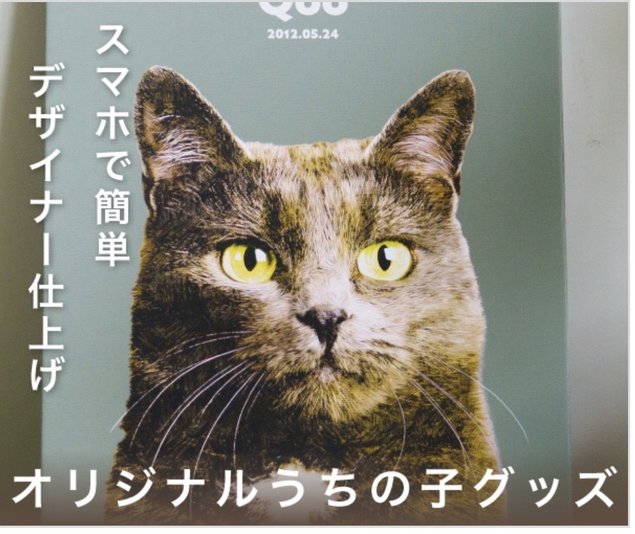うちの子グッズQooで叶う！かわいくて外でも使える神アイテム